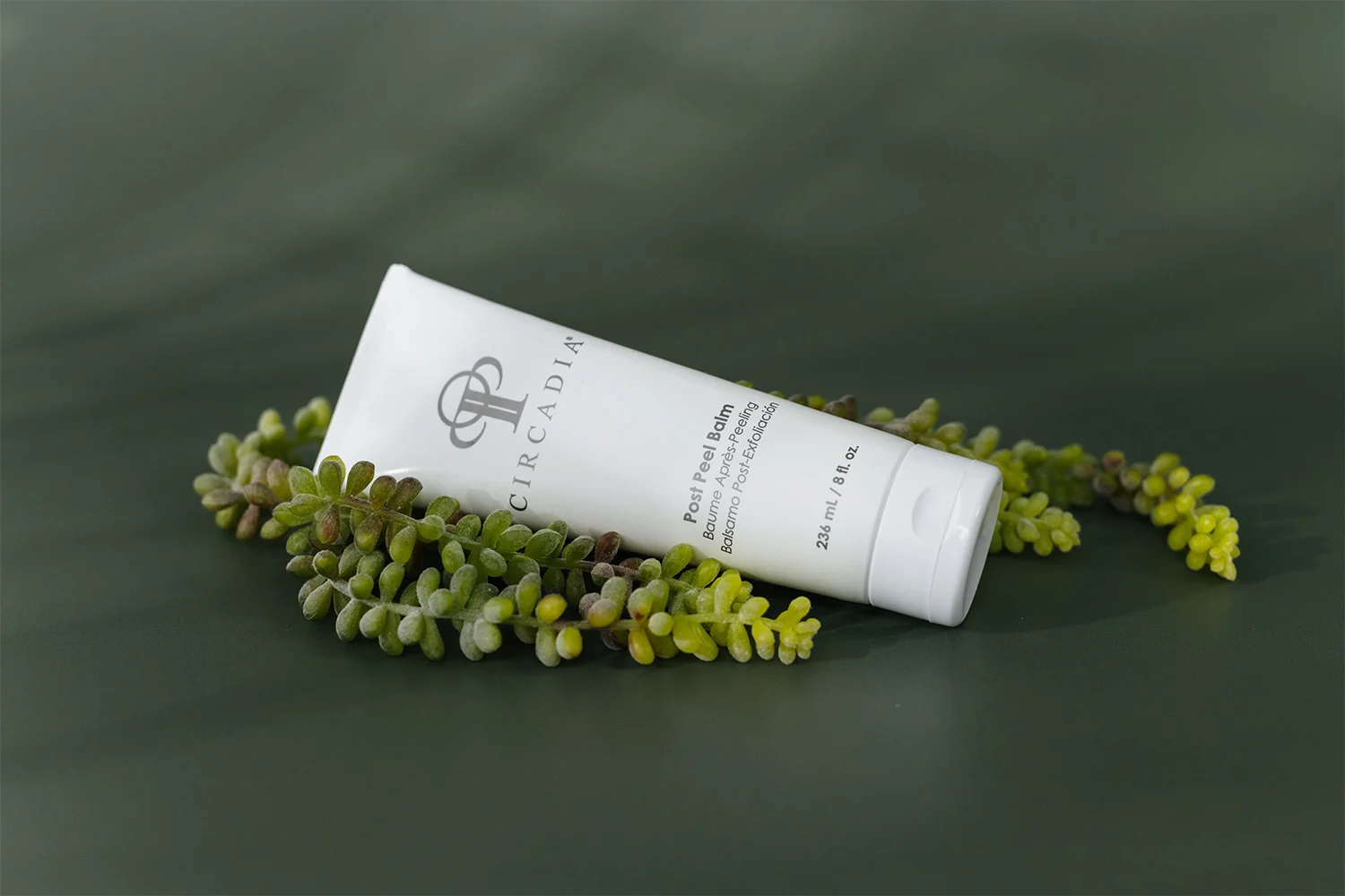 Ekspertinis gidas: pantenolis „Circadia“ produktuose - Galutinis užrakinimas (kremai ir balzamai)